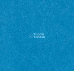 Линолеум Forbo Marmoleum Decibel on Order 326435 Greek blue фото 1 | FLOORDEALER